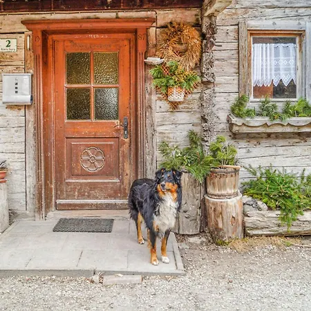 Pet Friendly In With Kitchen Appartamento